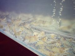 大堂-白仁仔· 活烤海鲜 宵夜(豫园店)