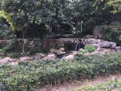 -活水公园