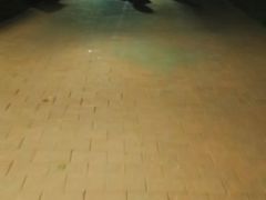 -仁和公园(顺义区)
