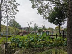 -洪湖家庭农场·团建·露营·会议