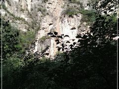 -藏山旅游风景区