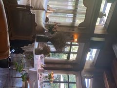 -一棵树·意大利西餐厅One Tree(新城店)