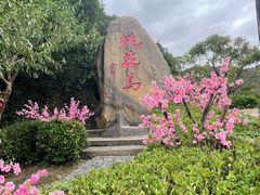 -桃花岛风景旅游区