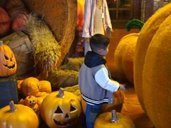 -郑州方特梦幻王国