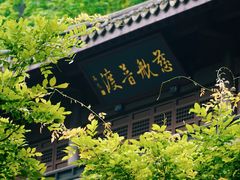 -虎跑公园