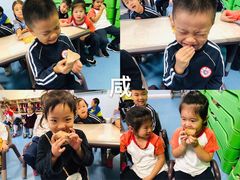 -贝乐多幼儿园(中北校区)