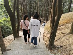 -火炉山森林公园