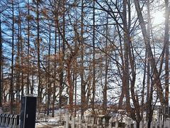 -长春市南湖公园