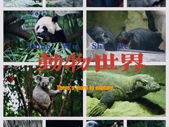 -广州长隆野生动物世界