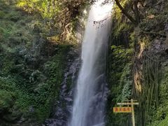 -莫里热带雨林景区