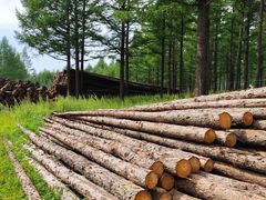 -塞罕坝国家级自然保护区