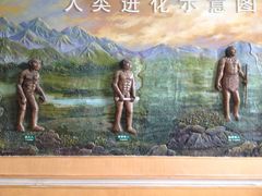 -北京周口店北京人遗址博物馆