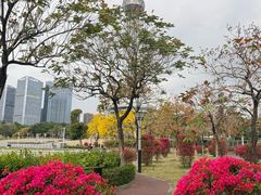 -文华公园(禅城区)