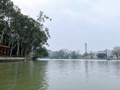 -西湖公园(鼓楼区)