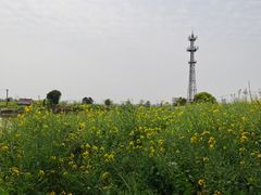 -丝绸小镇荻港古村