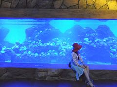 -华夏文旅海洋公园