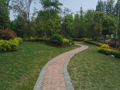 -上海佘山国家森林公园天马山园