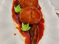 -丁老爷子苏香圆