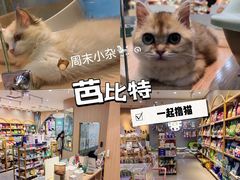 -BABIT巴比特宠物(MOMOPARK店)