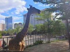 -灵玲国际马戏城