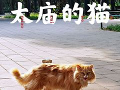 -北京市劳动人民文化宫