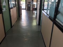 -半岛宠物医院24小时(科华中路店)