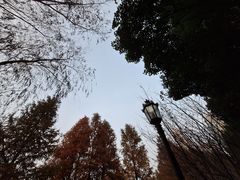 -莫愁湖公园