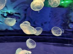 -横店影视城梦幻谷园区