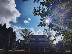 -武陵山森林公园