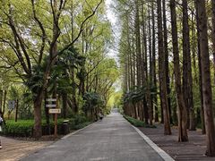 -同里国家湿地公园