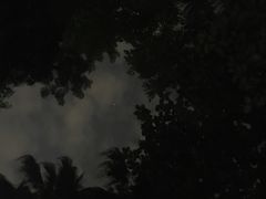 -南宁南湖公园