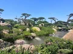 -罗红摄影艺术馆