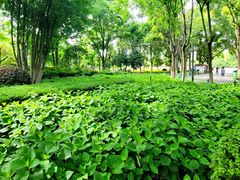 -金银湖国家城市湿地公园