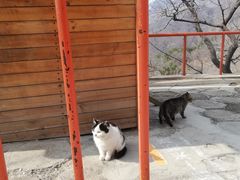 -慕田峪长城
