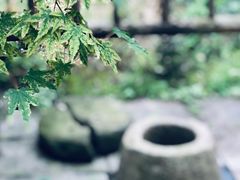 -司徒庙