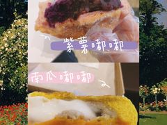-奈雪的茶(永嘉天地东百城店)