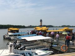 -溱湖国家湿地公园