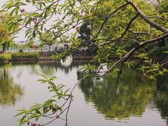 -无锡蠡湖国家湿地公园-蠡园