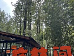 -林间山庄