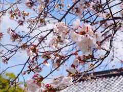 -醍醐寺