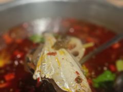 -倒拐香耗儿鱼(西体店)