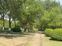 -永定河休闲森林公园