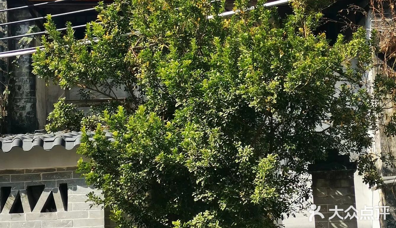 荔湾湖旁藏着一个古村落，尽显浓浓西关风情