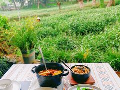 -野蔓果·山野菜(西湖景区·龙井茶田店)