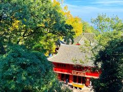 -青城山
