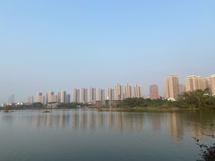 -洋湖国家湿地公园