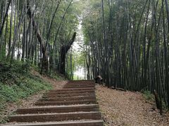 -西湖风景区十里琅珰-五云山