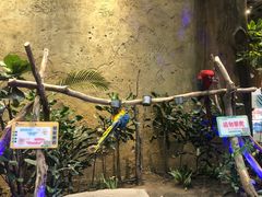 -杭州开元森泊度假乐园