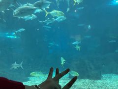 -福州罗源湾海洋世界旅游区