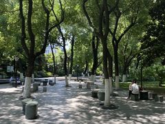 -常州古运河南大街文化旅游区-人民公园